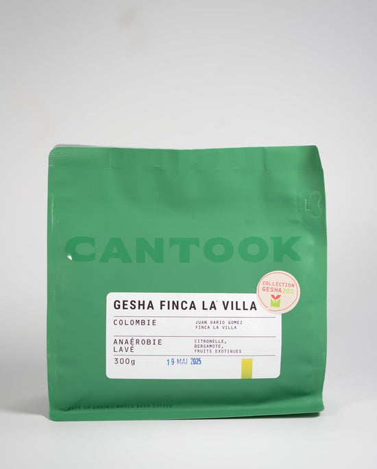 Gesha Finca La Villa