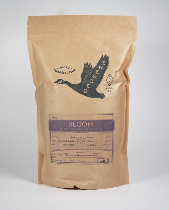 Bloom