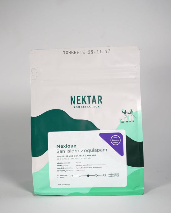 Sain Isidro Zoquiapam