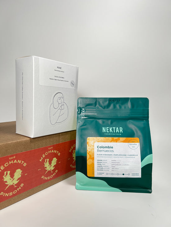 Classic – Méchants Pinsons - Main Image