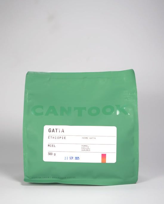 Gatta