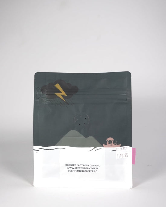 Little Pearls Chiroso